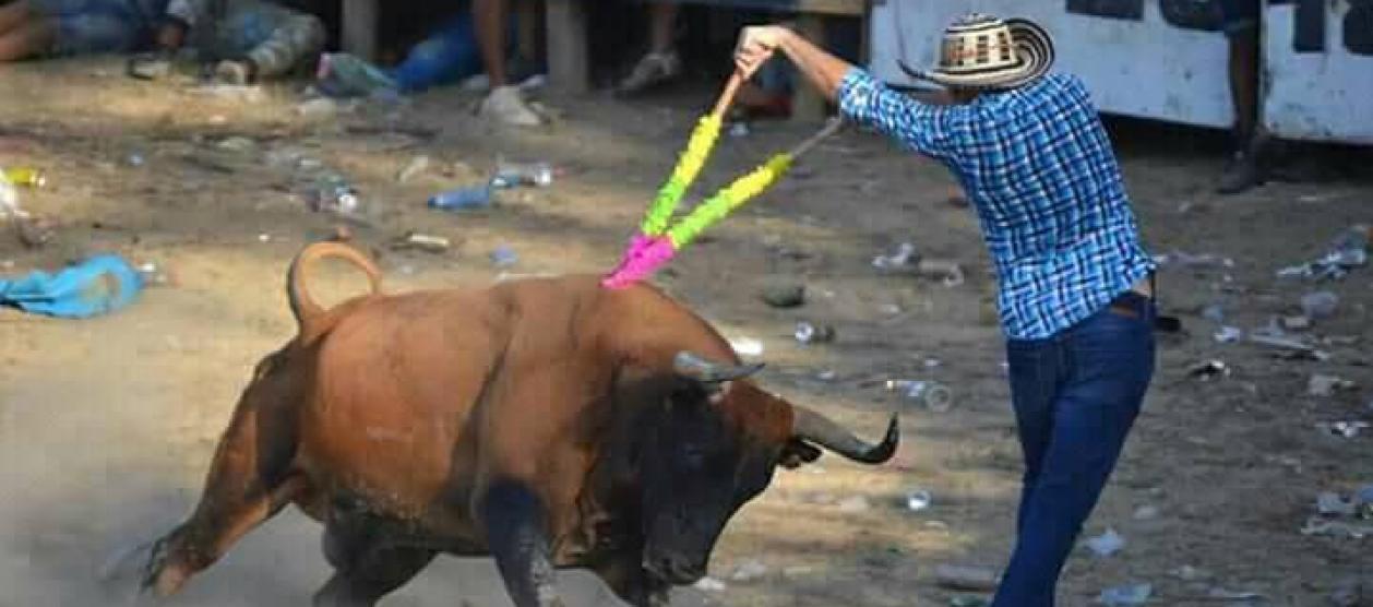 Imagen de referencia.