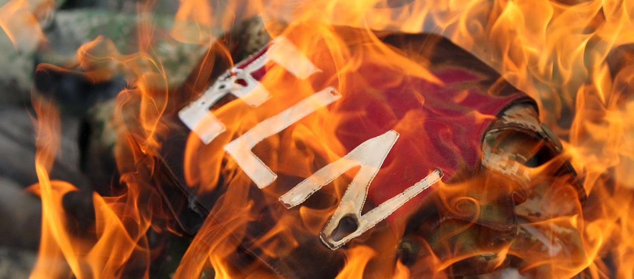 Imagen de referencia.