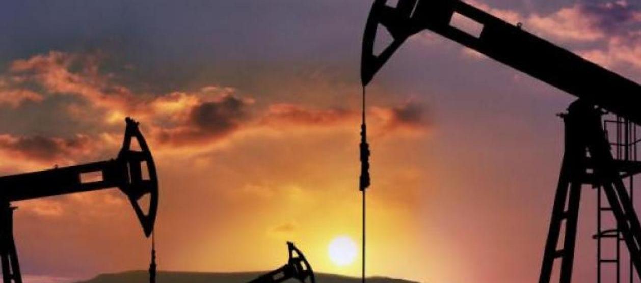 Imagen de referencia.