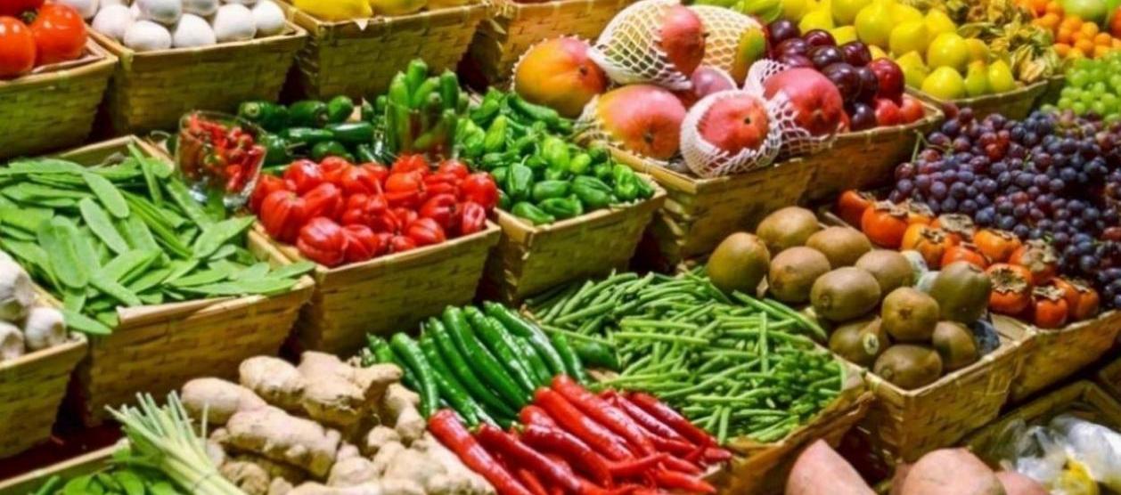 Imagen de referencia.