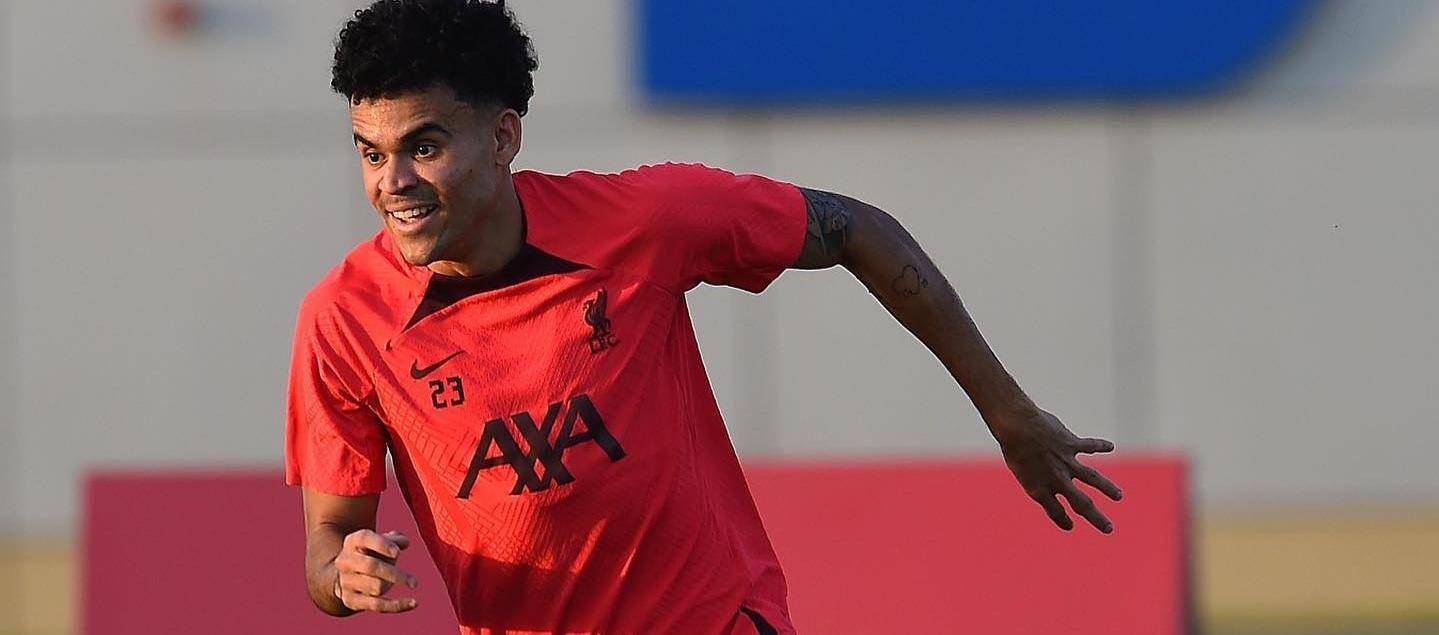 Luis Díaz acumula tres meses por fuera de las canchas.