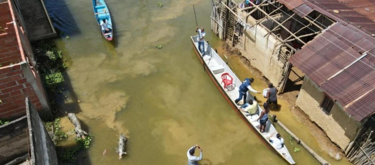 Imagen de referencia.