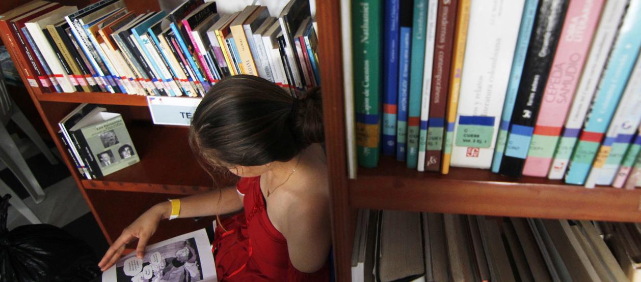 Imagen de referencia. 