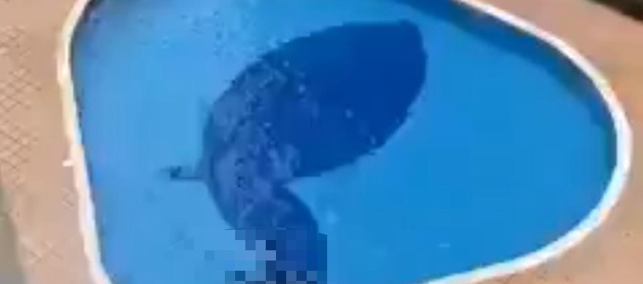 La piscina del conjunto residencial de Neiva en la que ocurrió el accidente.