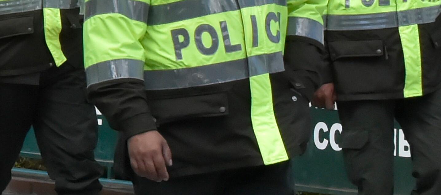 Imagen de referencia.