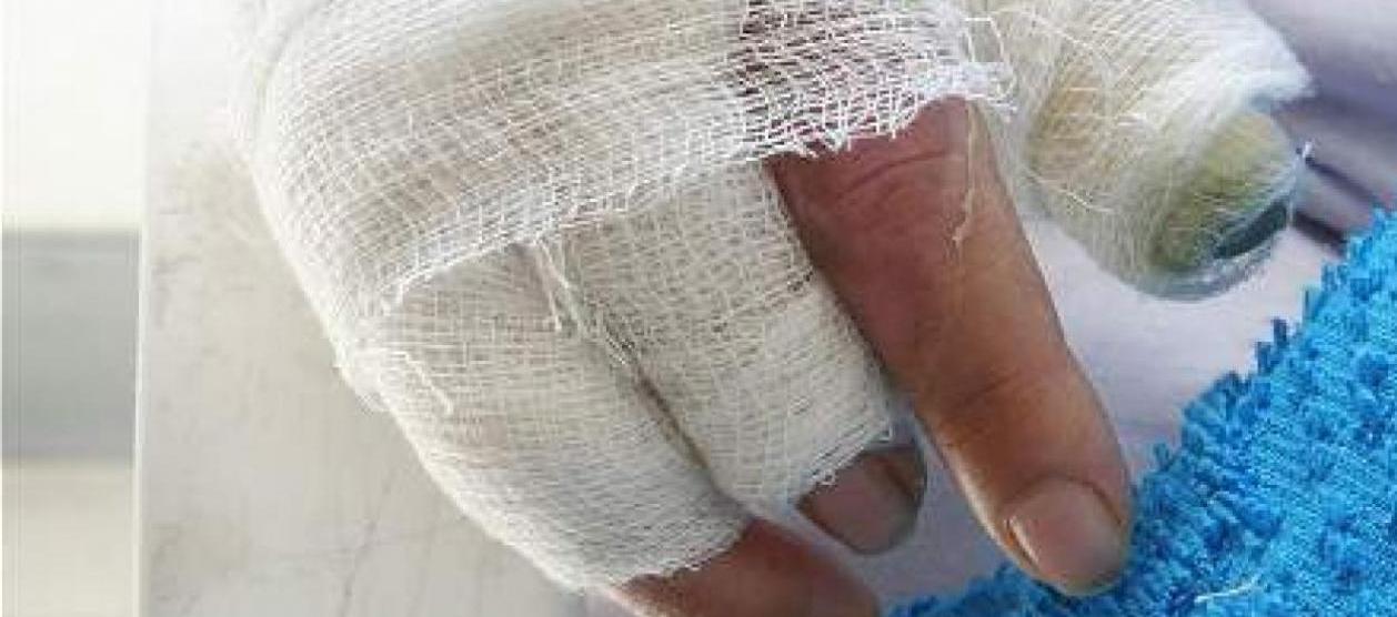 Imagen de referencia.