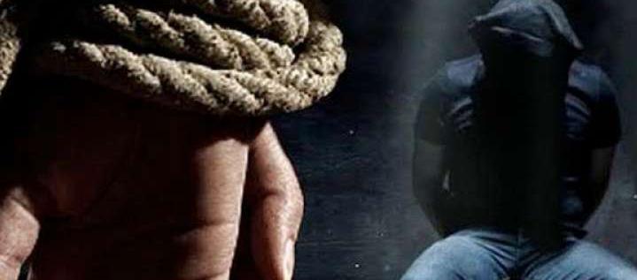 Imagen de referencia.