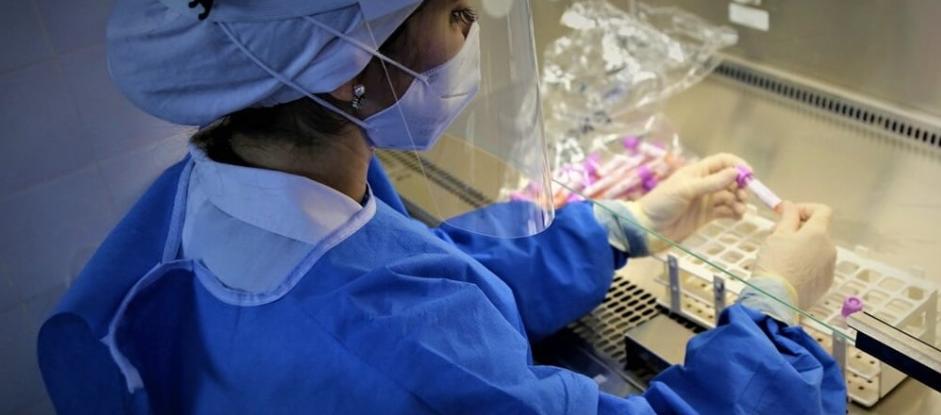 El estudio es apoyado en datos de 26 investigaciones.