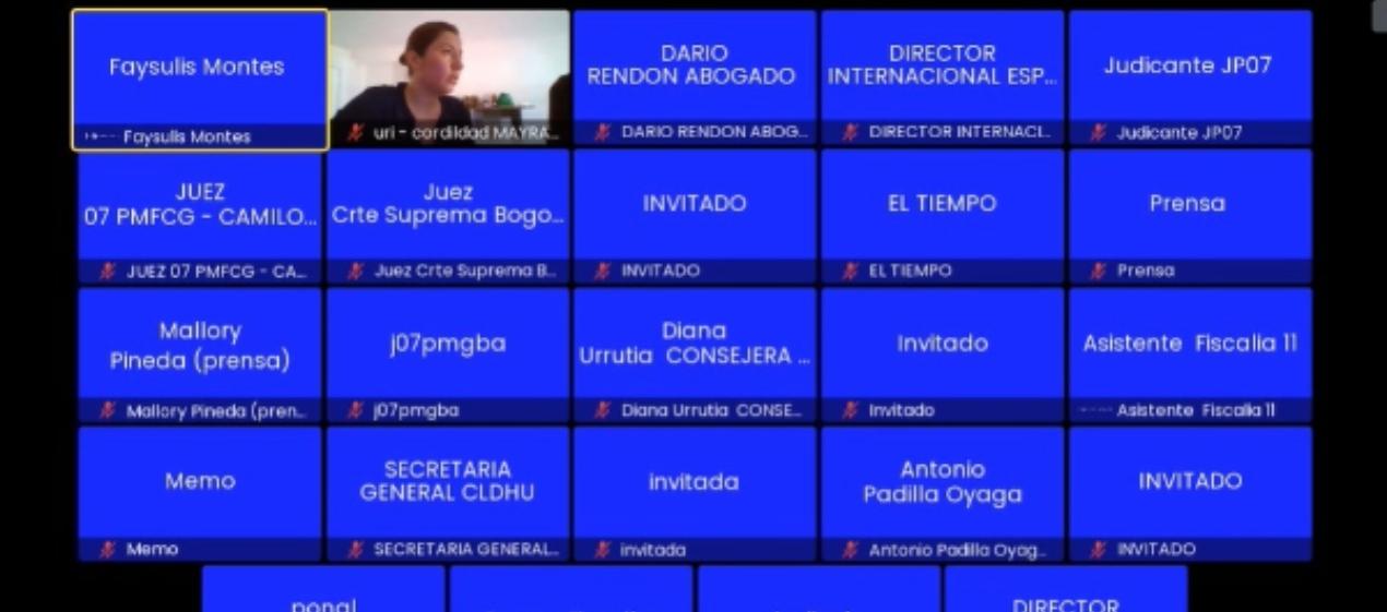 Mayra Alejandra Vera Duarte, alias ‘La mona’, durante la audiencia virtual. 