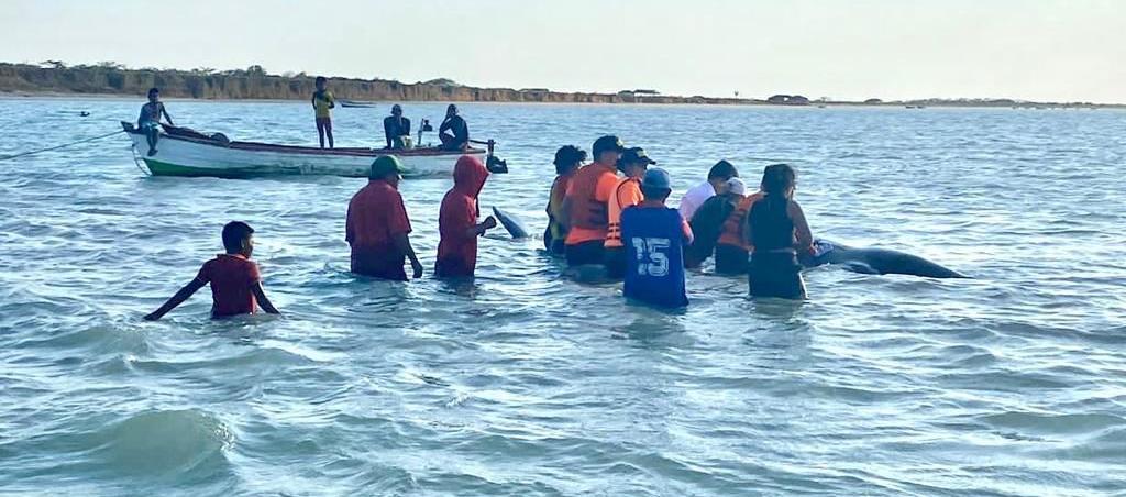 Momento del rescate.