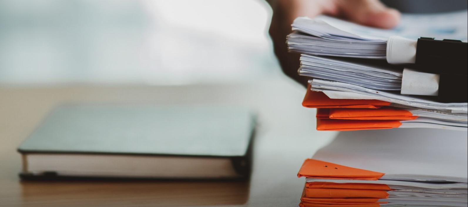 Imagen de referencia.