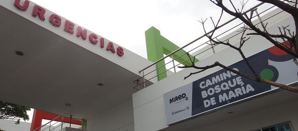 Camino del barrio El Bosque.