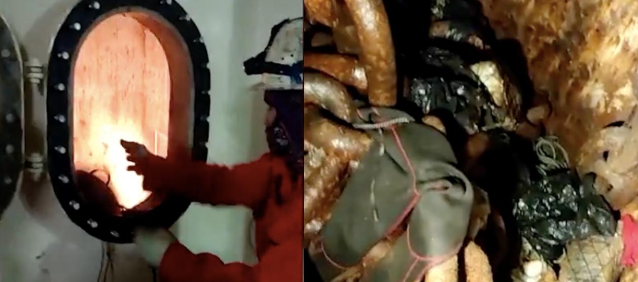 Momentos de la captura.