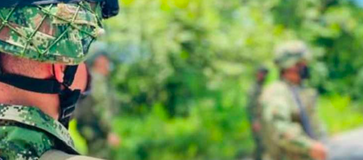 Imagen de referencia.