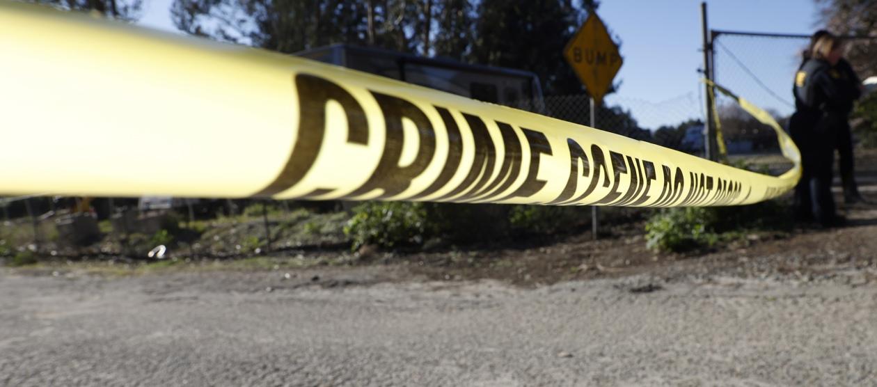 Imagen de referencia.