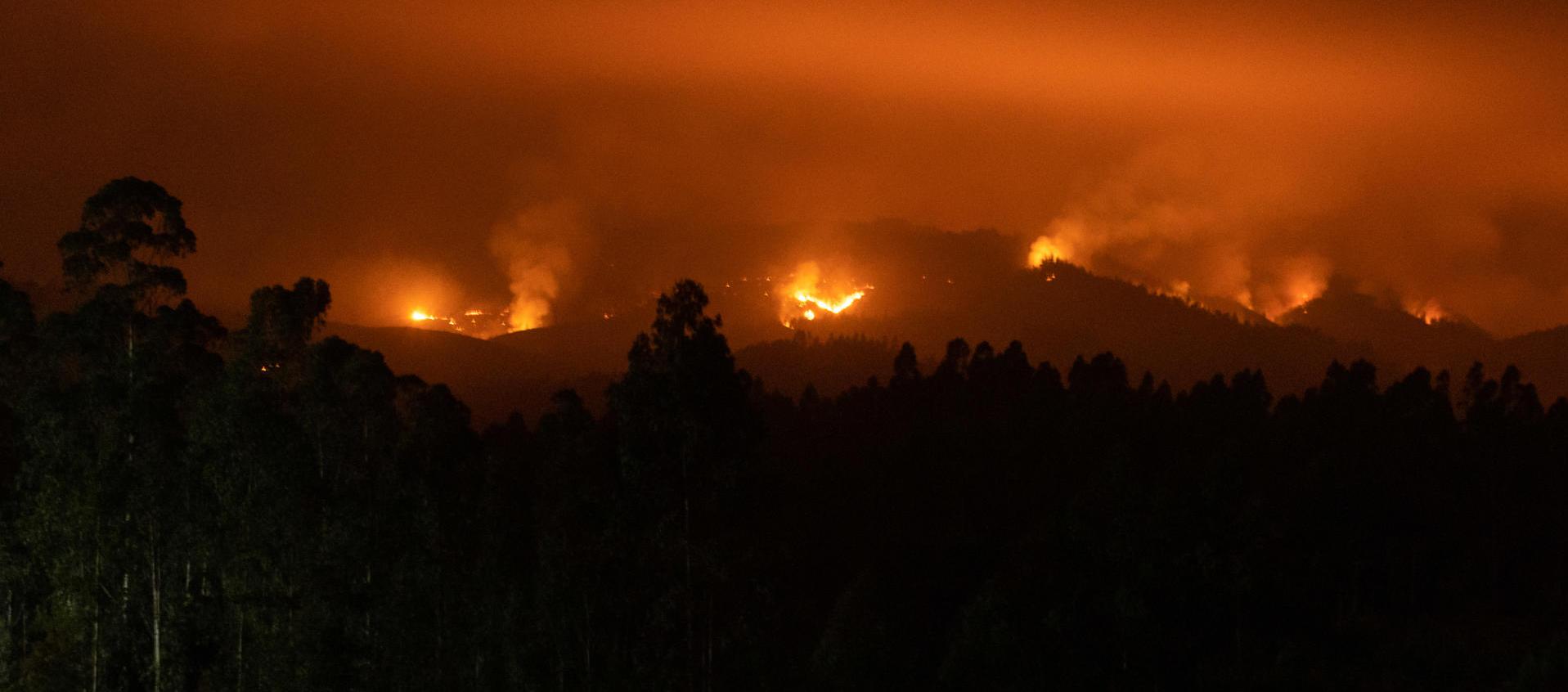 Las autoridades reportan 260 incendios activos en todo Chile.