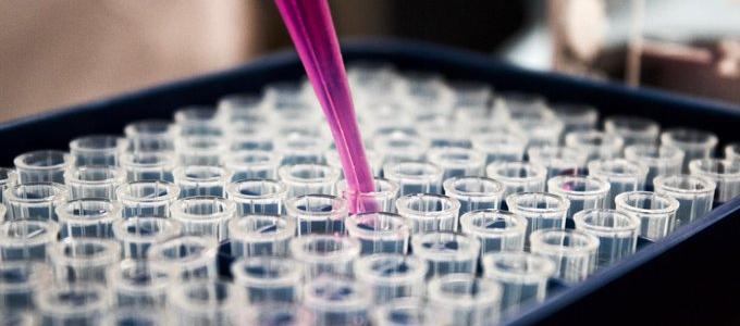 Imagen de referencia