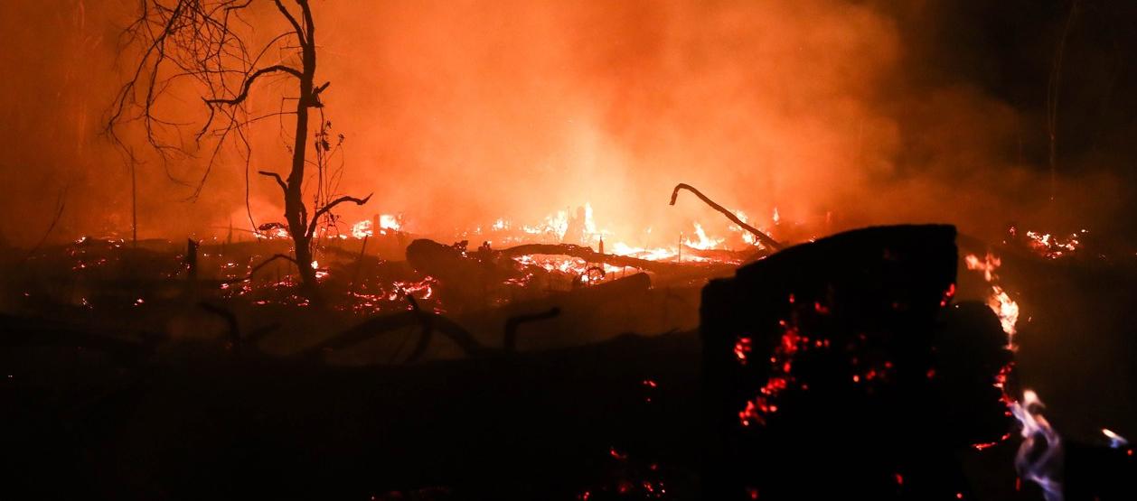 Imagen de referencia.