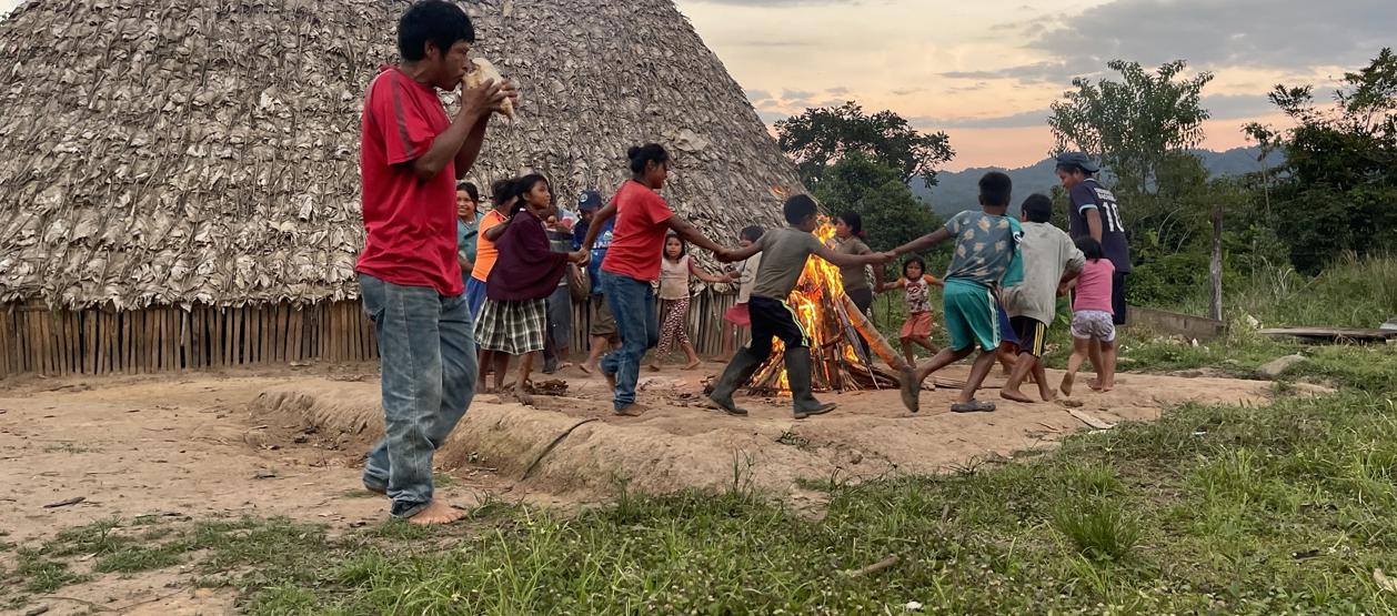 Imagen de referencia.