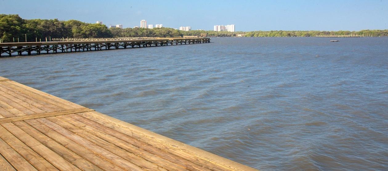 Panorámica actual de la ciénaga de Mallorquín.