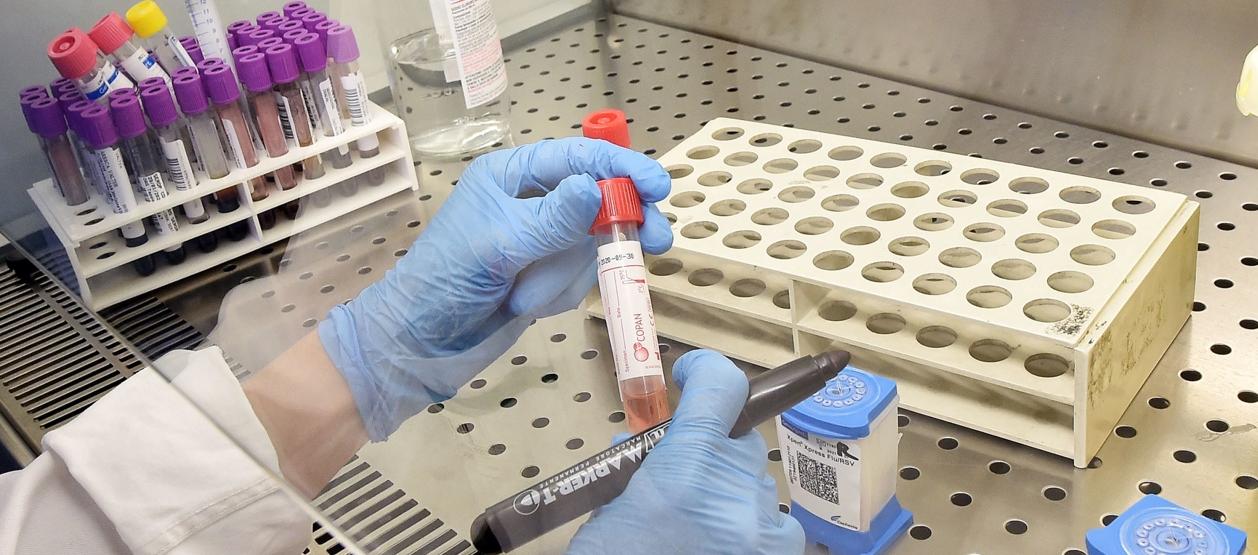 Imagen de referencia.