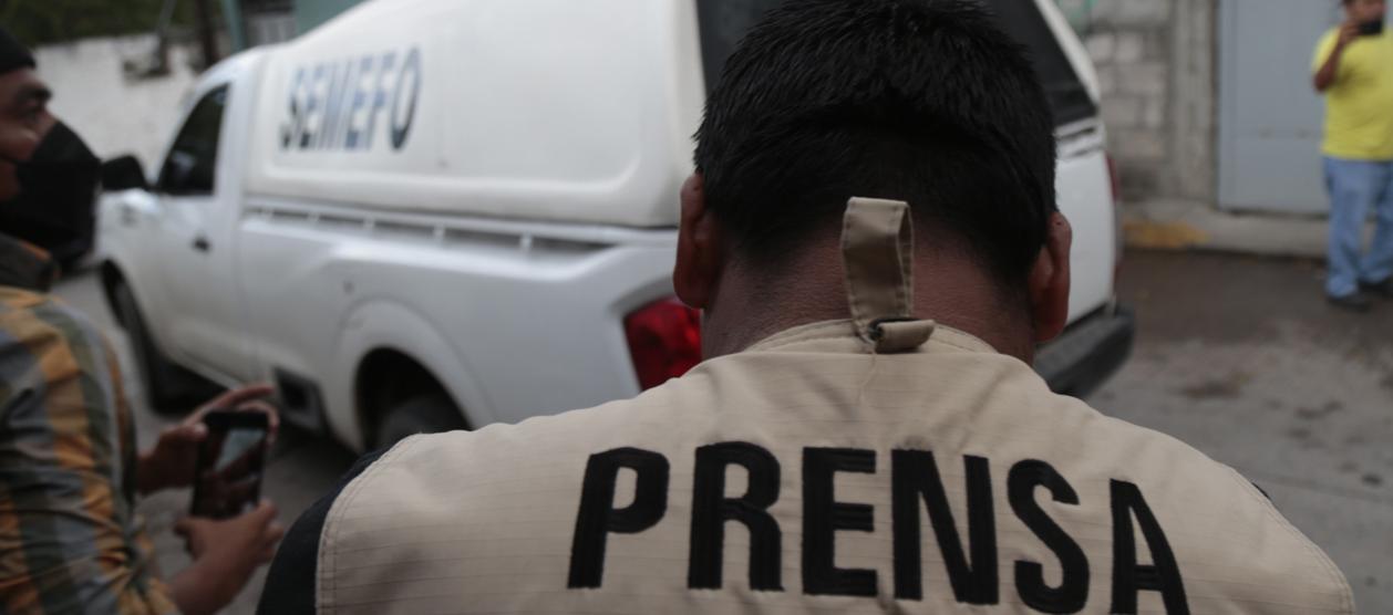 Imagen de referencia.