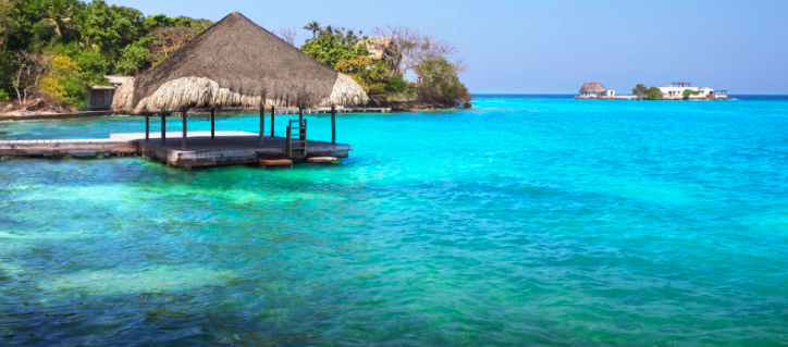 Imagen de referencia.