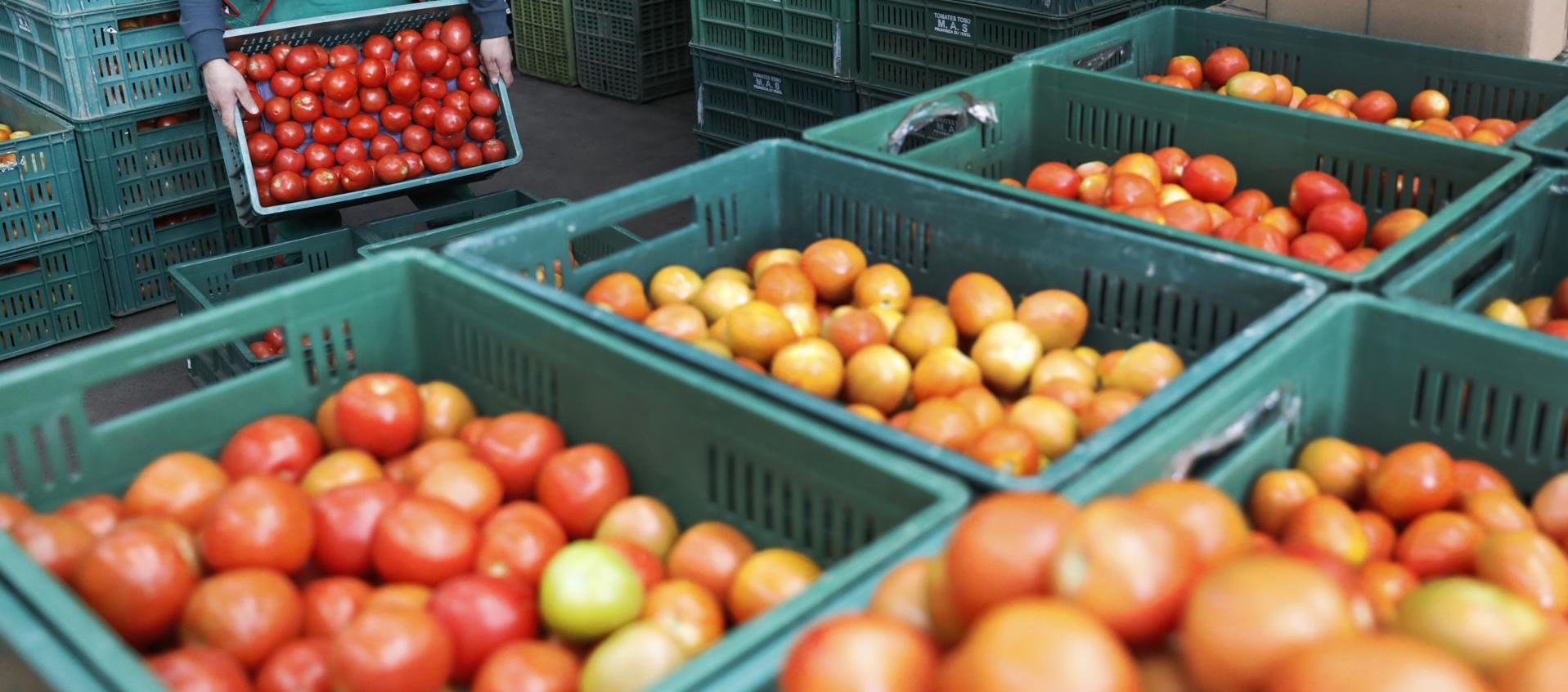 Venta de alimentos en Corabastos