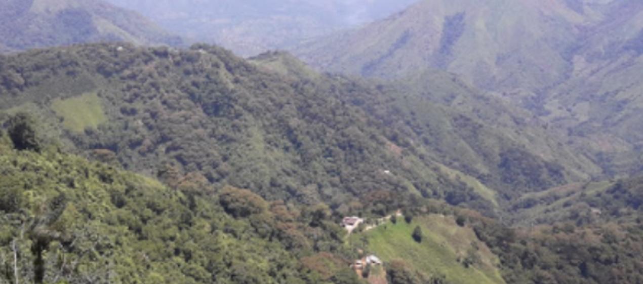 Vereda Santa Clara, en la Sierra Nevada de Santa Marta. 
