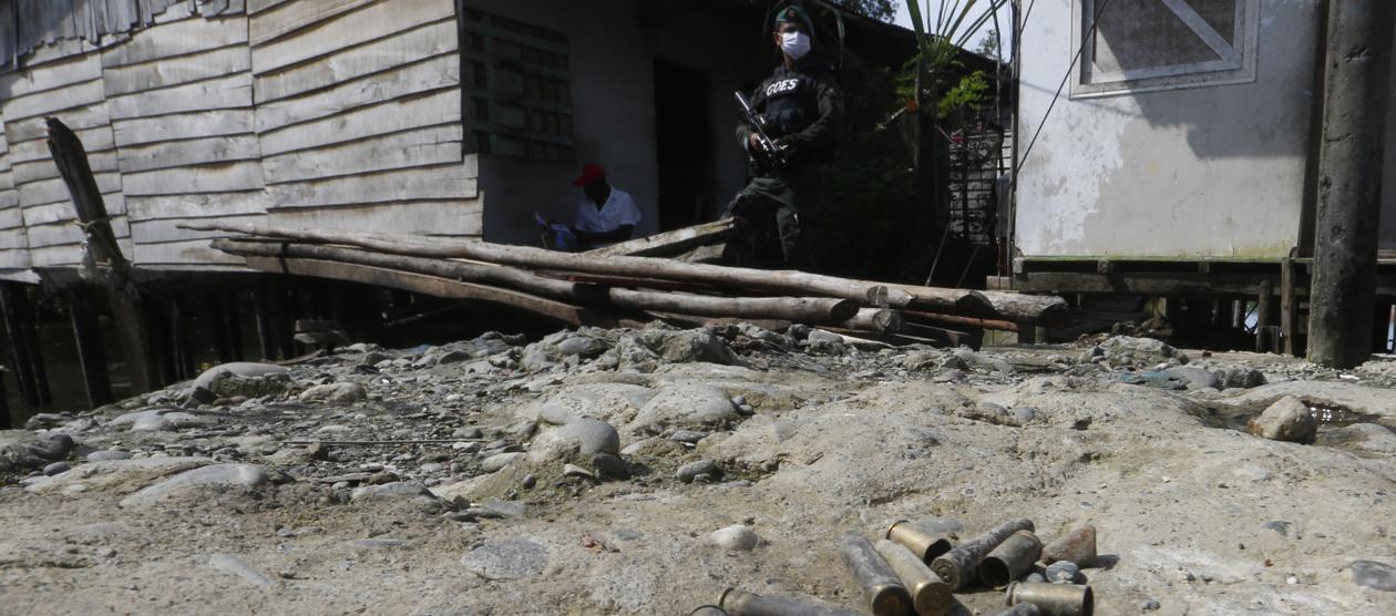 Imagen de referencia.