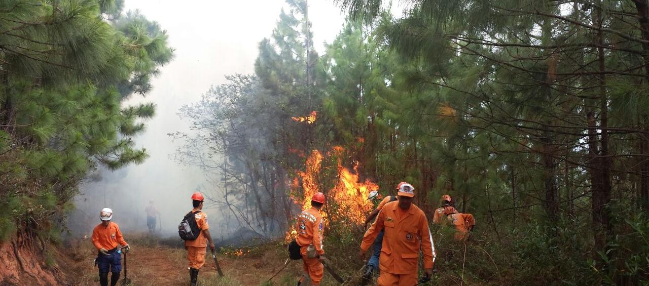 Imagen de referencia.