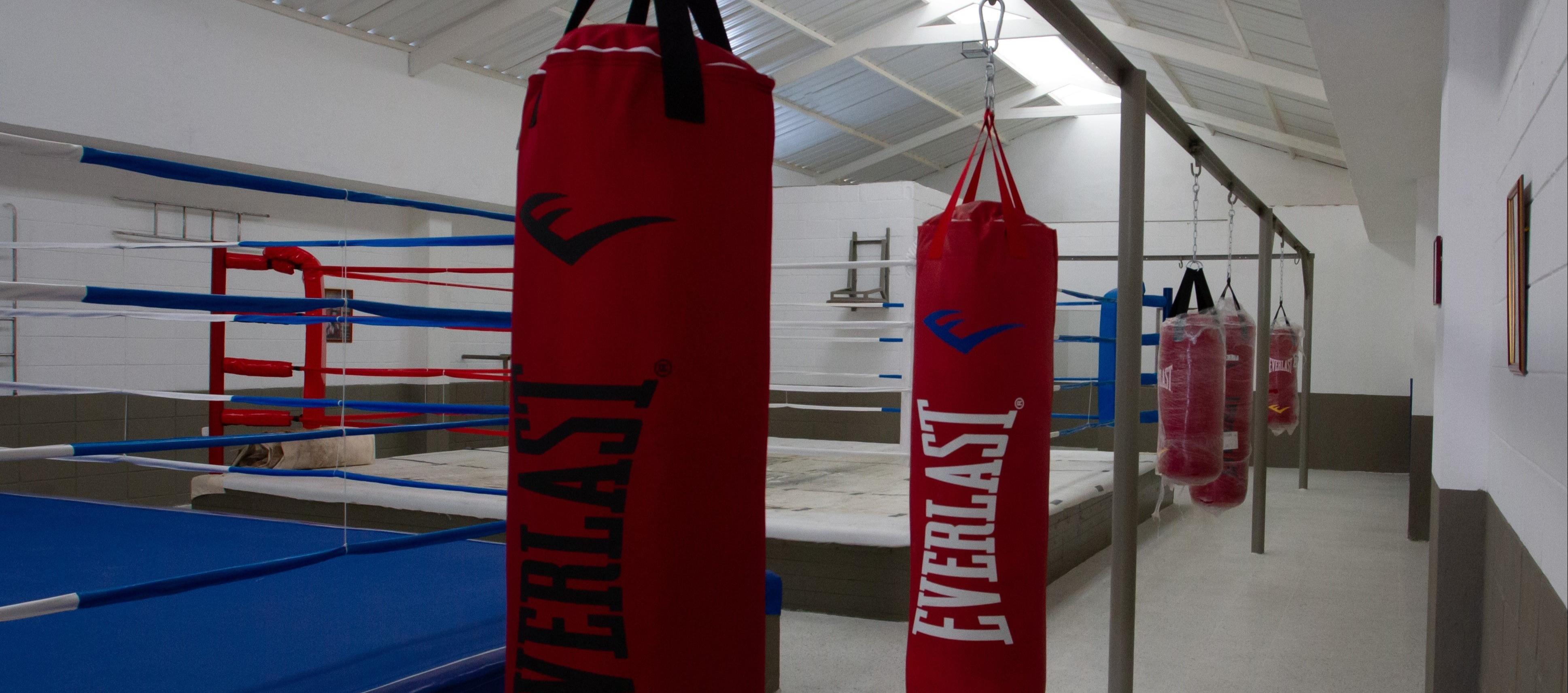 Vista interior del nuevo gimnasio Cuadrilátero Élite. 