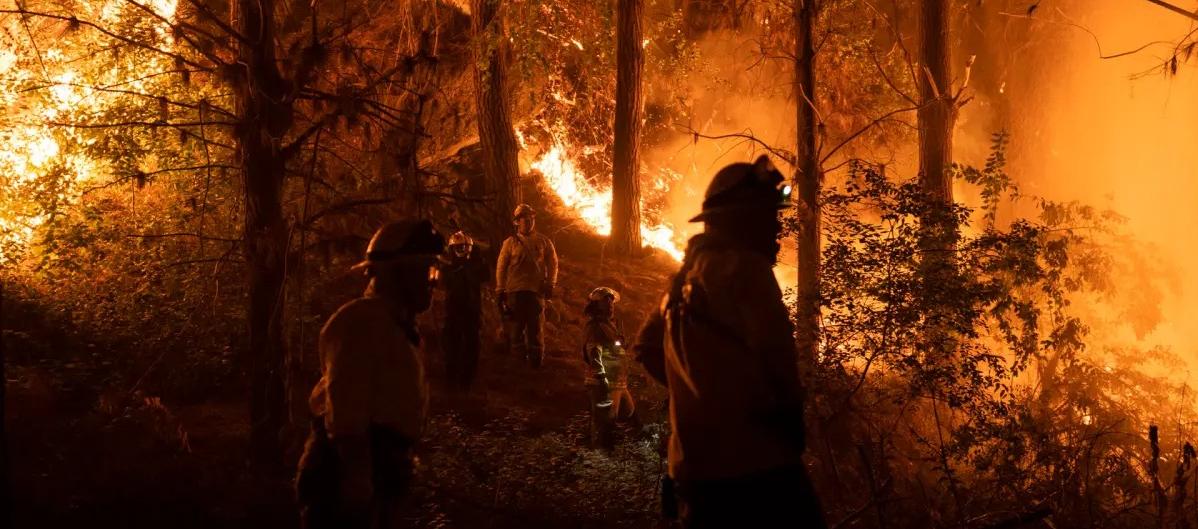 Imagen de referencia.