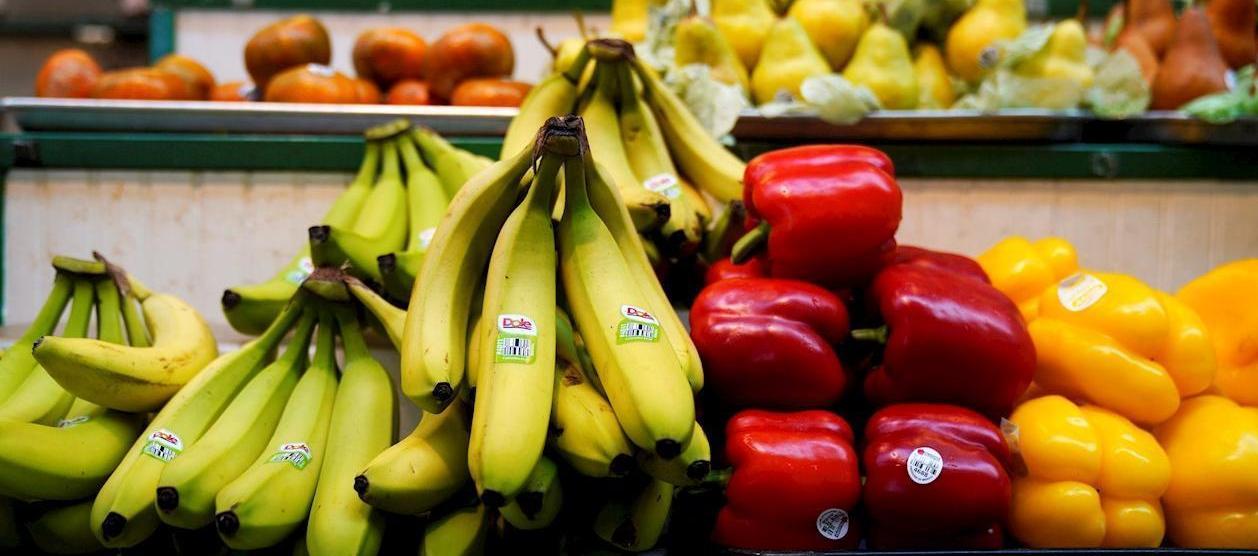 Imagen de referencia.