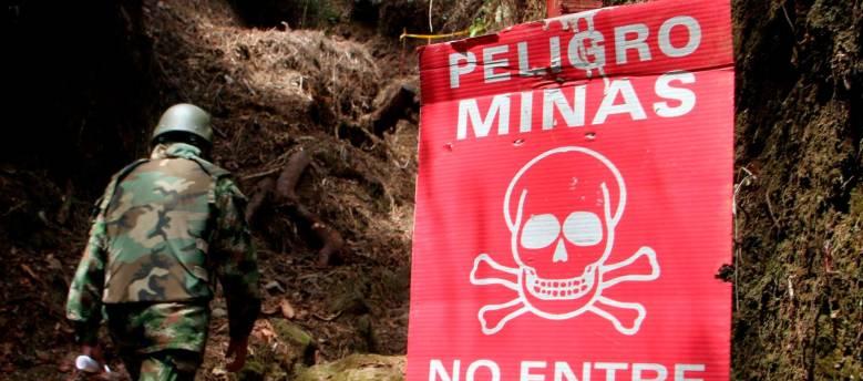 Imagen de referencia.