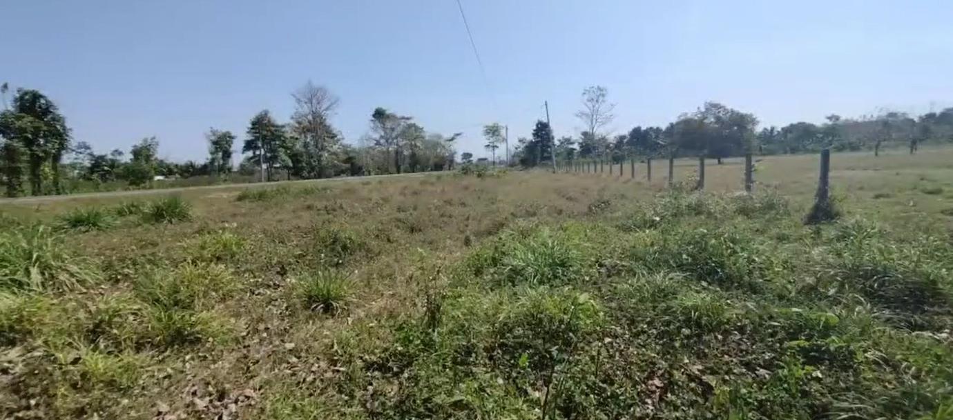 Predios entregados a víctimas de conflicto armado.