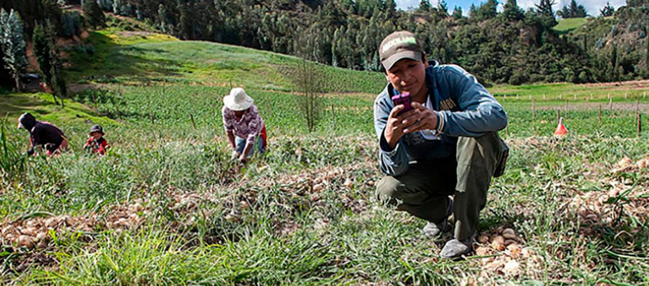 MinTic hizo público borrador de decreto para el servicio de internet.