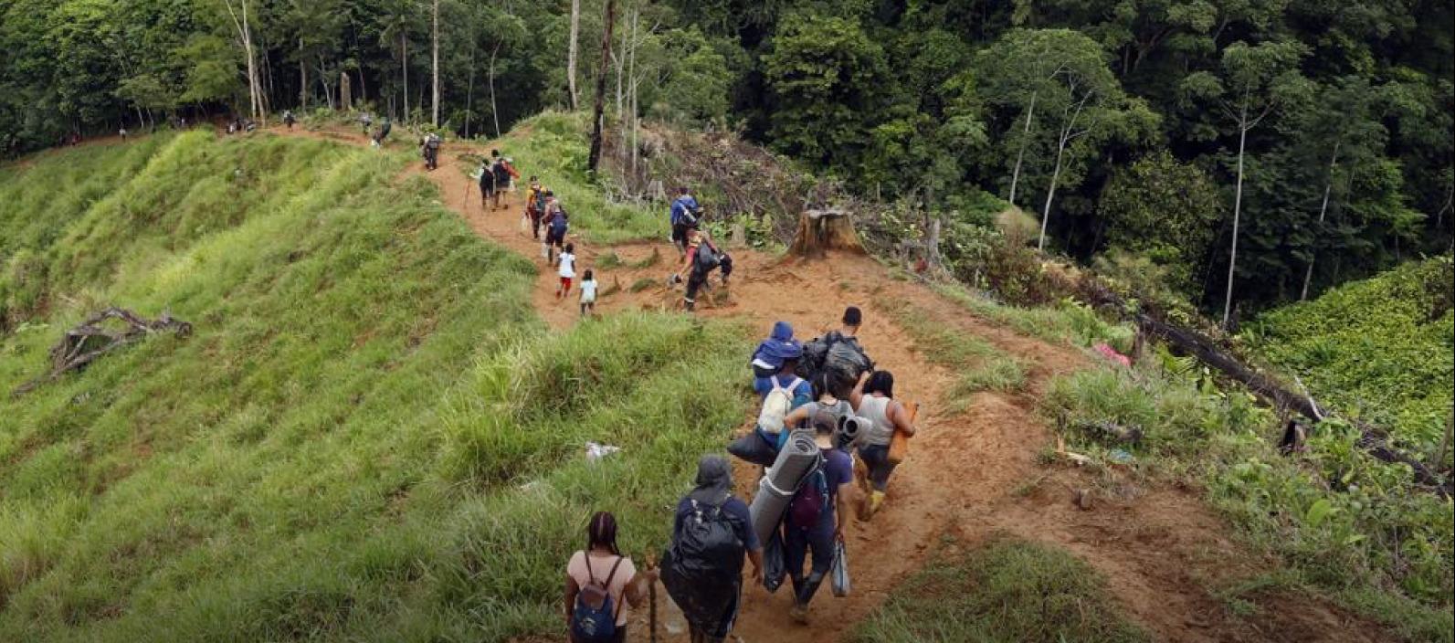 Imagen de referencia.