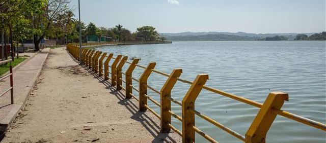 Jornada de limpieza y siembra de 200 árboles frutales en el corregimiento La Peña