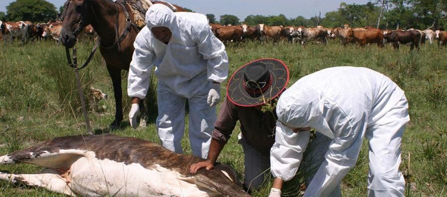 Vacunación, imagen de referencia.