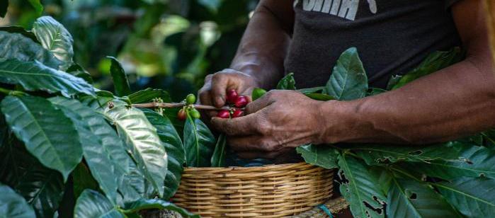 Imagen de referencia.