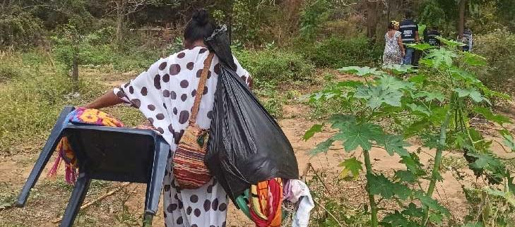 Imagen de referencia.