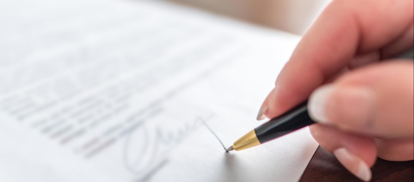 Imagen de referencia.