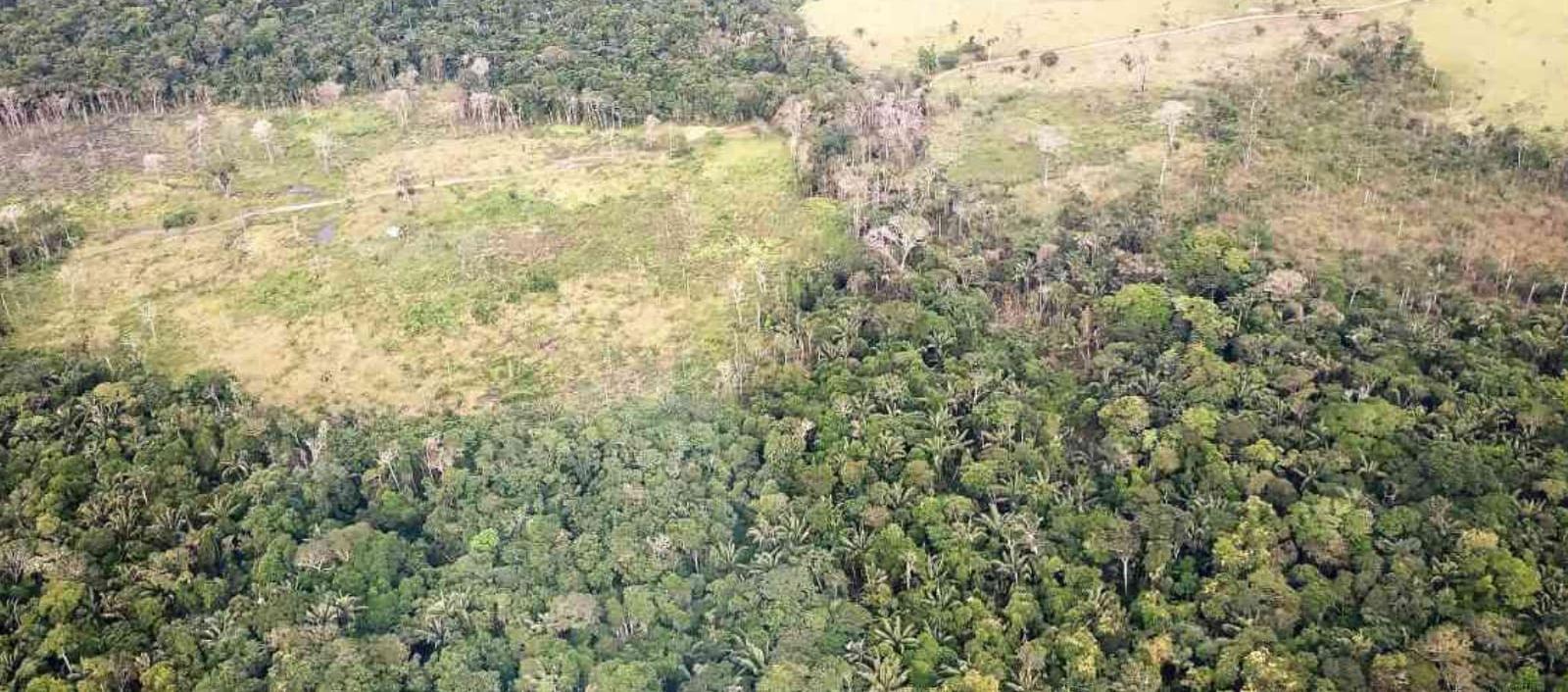 Imagen de referencia.