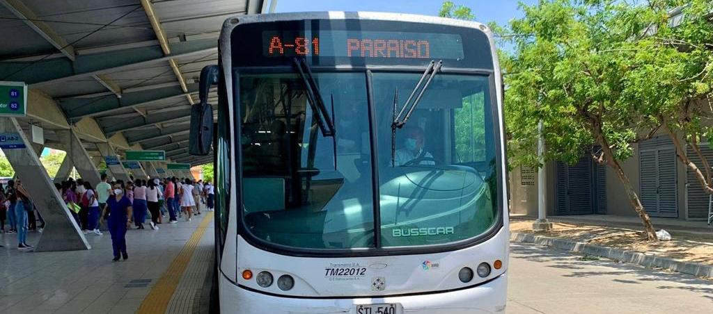 La ruta A8-1 Paraíso iniciará operación a las 5:30 a.m.