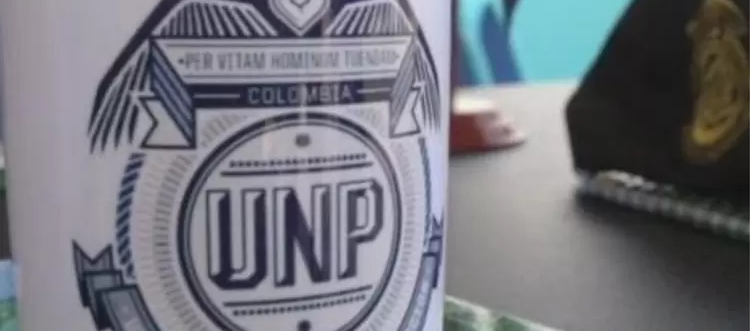 Imagen de referencia.