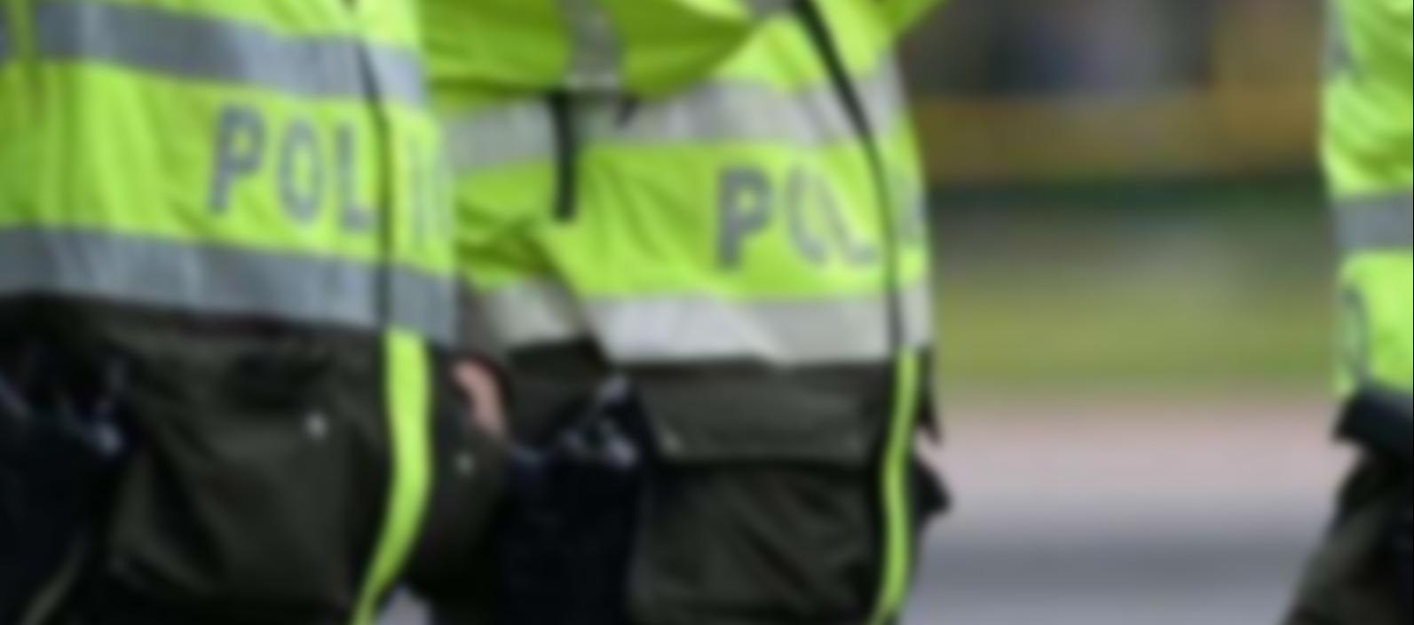 Imagen de referencia.