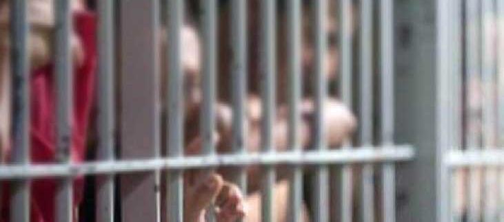 Imagen de referencia.