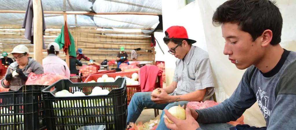 2.500 emprendimientos se beneficiarán con el programa de la Unión Europea.