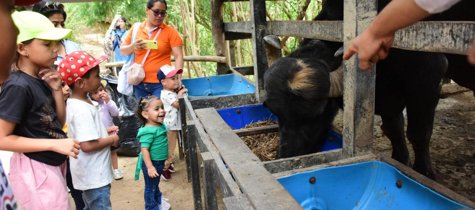 Los niños disfrutan del contacto con la naturaleza y los animales 